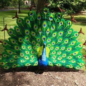 Meet your Posher, Shannan c